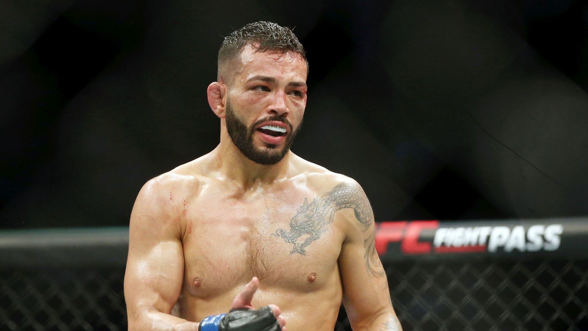Dan Ige (born August 6, 1991) is an American mixed martial artist currently competing in UFC's Featherweight division. A professional since 2014, he h...